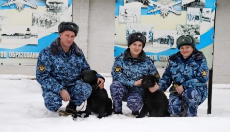 Сотрудники мордовских колоний получили щенков немецкой овчарки для служебной работы