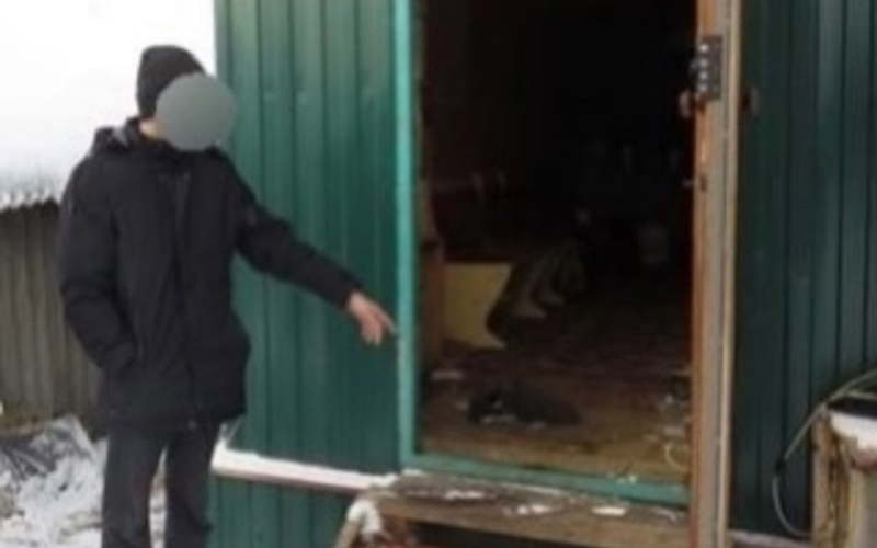 В Мордовии подросток едва не убил соседку из-за отказа выпить и получил условный срок