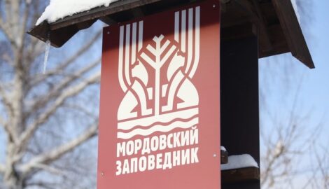 Яркие выходные в Мордовии: заповедник приглашает на зимний фестиваль "День рысения"