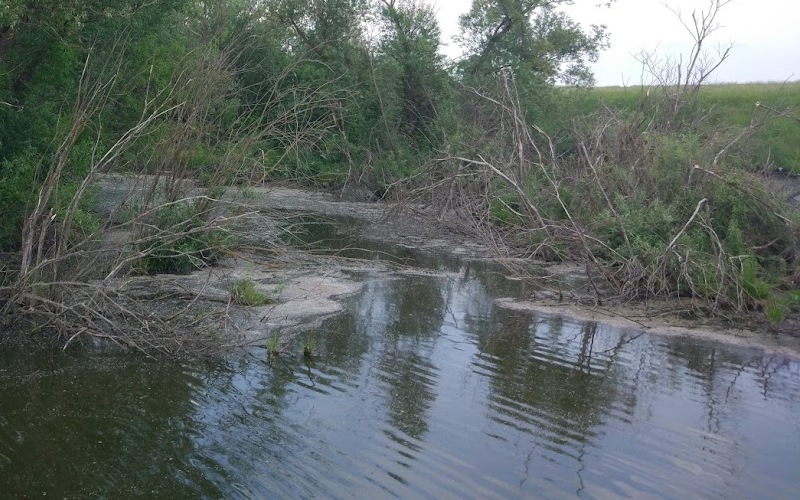 Загадка «мертвой воды» под Мордовией: целебный источник для животных