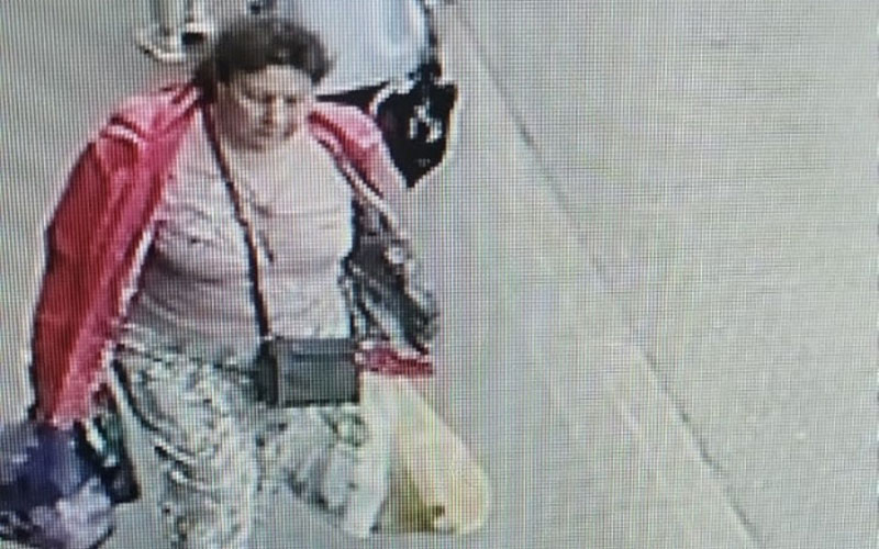 В Саранске разыскивают женщину, подозреваемую в краже денег у иностранной студентки
