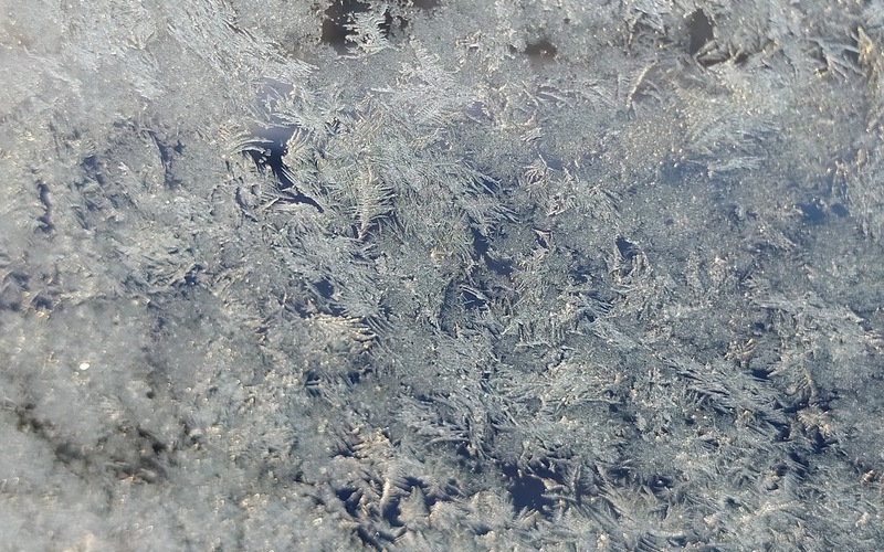 Аномальные морозы до -20 градусов обрушатся на Мордовию на этой неделе