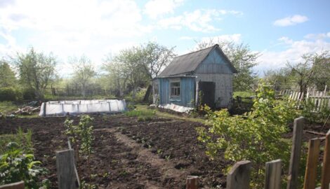 Летние перспективы для огородников в условиях аномально теплой зимы