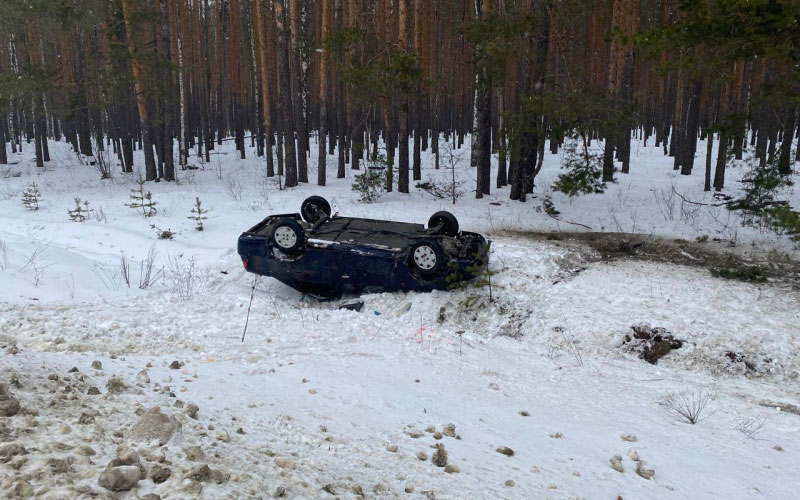 В Мордовии в ДТП на трассе пострадали три человека