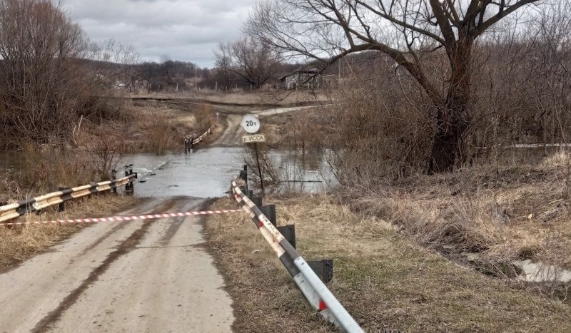В Мордовии первый мост оказался под водой из-за весеннего паводка