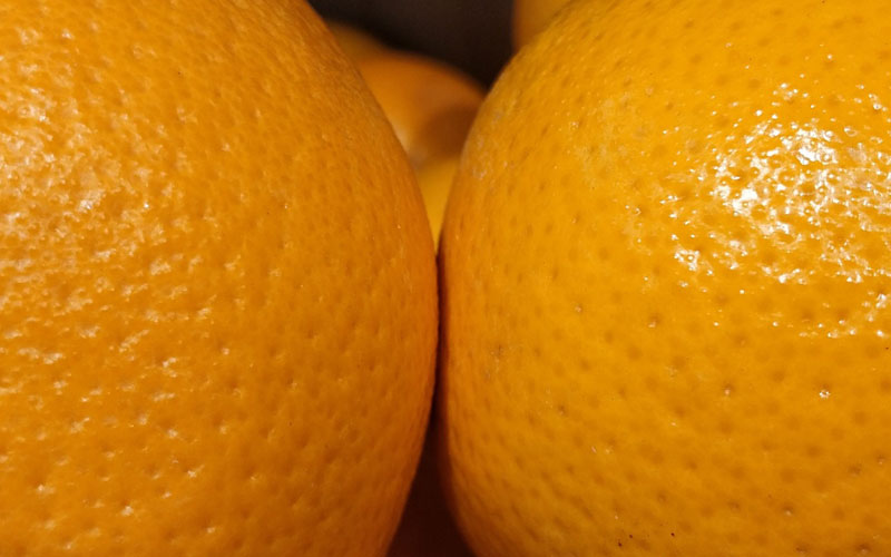 Питание для мозга: Какие продукты помогут укрепить память и улучшить мыслительные способности