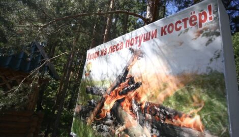 Мордовия: Введено оперативное предупреждение из-за чрезвычайной пожарной опасности лесов