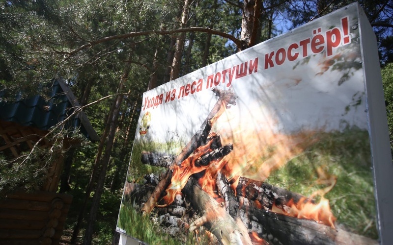 Мордовия: Введено оперативное предупреждение из-за чрезвычайной пожарной опасности лесов