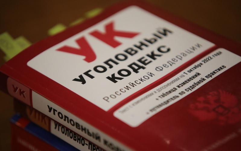 За покушение на убийство в Мордовии: 20-летний житель отправится в колонию строгого режима