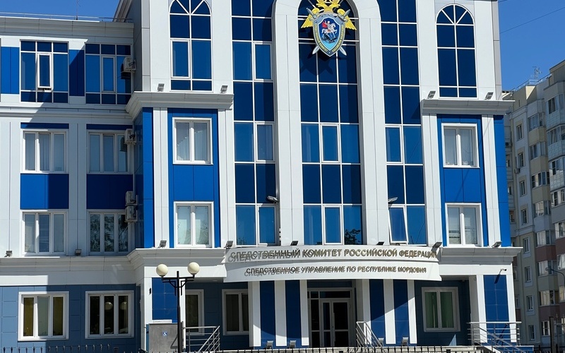 Неудачная попытка купить права сыну: жительницу Саранска оштрафовали на 600 тысяч рублей