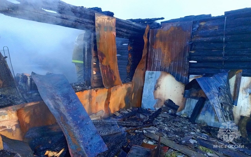Ночной пожар в Мордовии: Супруги погибли в собственном доме из-за неисправности электросети