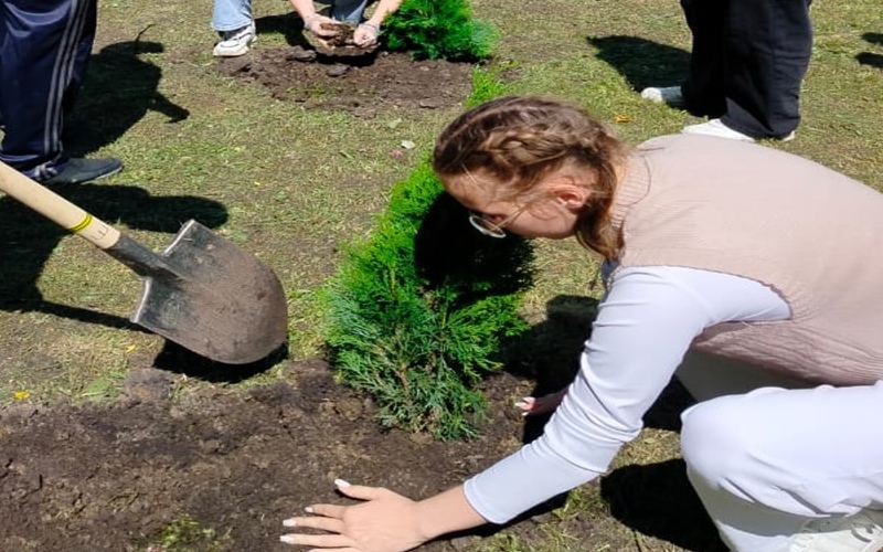 Выпускники Большеигнатовской школы заложили уникальную Аллею: Живой символ памяти и будущего в Мордовии