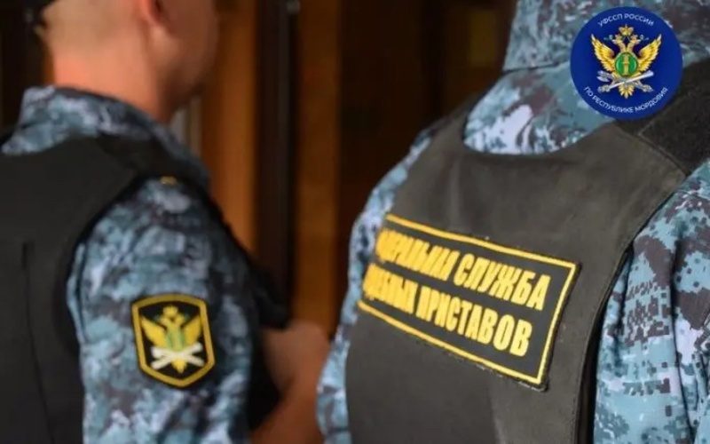 В Мордовии судебные приставы взыскали крупные суммы по редким видам правонарушений