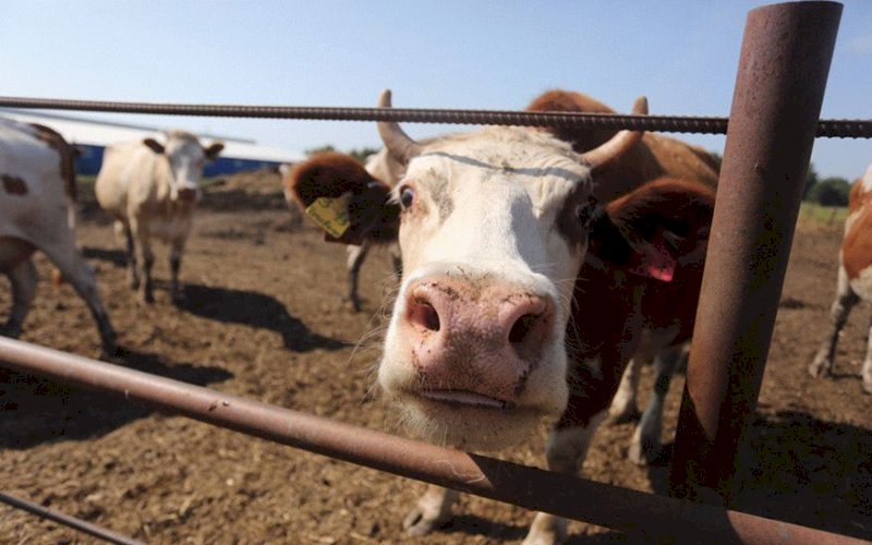 Мордовия усиливает меры защиты сельского хозяйства перед лицом весеннего половодья