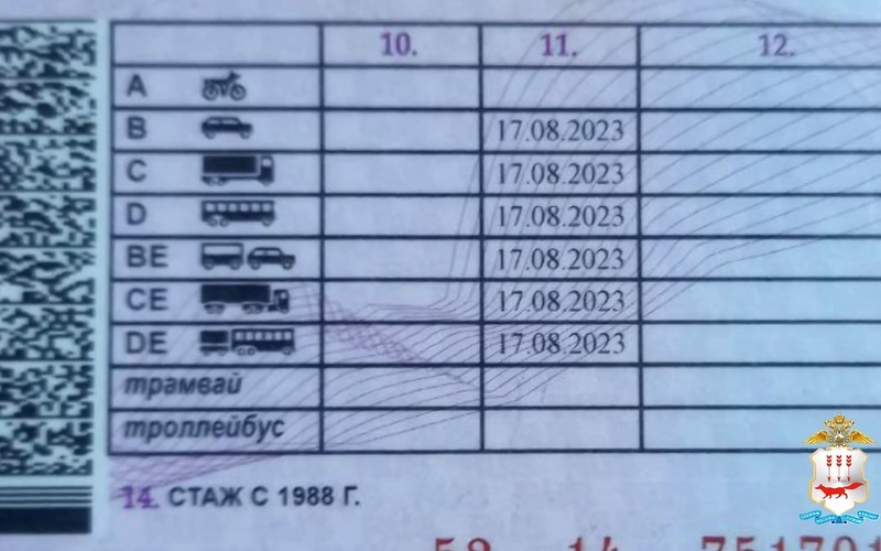Суд в Мордовии аннулировал водительские права молодого человека из-за проблем со зрением