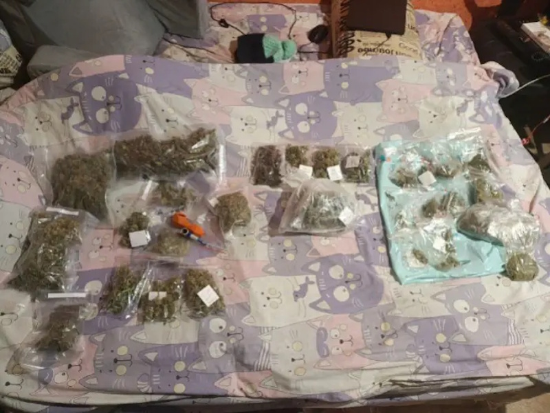 В Саранске перед судом предстанет местная жительница, превратившая съемную квартиру в наркоплантацию