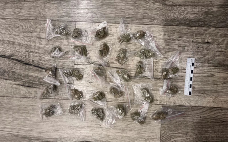 В Саранске перед судом предстанет заводчица собак за хранение марихуаны в общежитии