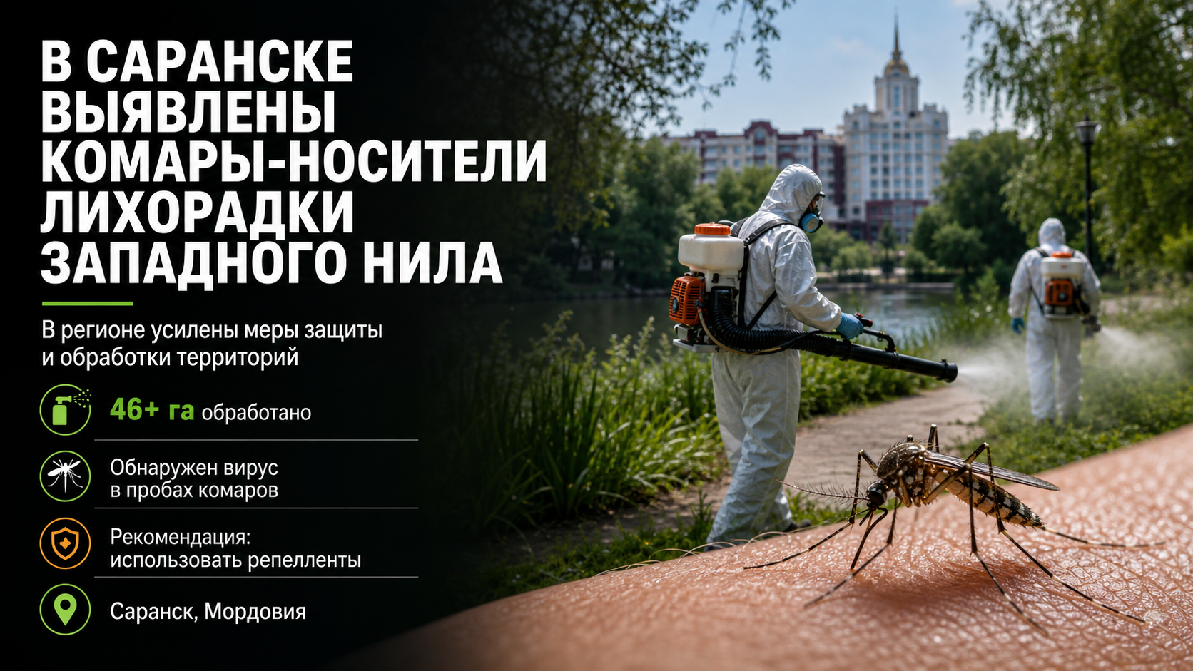 В Саранске выявлены комары-носители лихорадки Западного Нила
