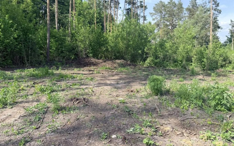 В Саранске бизнесмен предстанет перед судом за незаконное создание зоны отдыха в лесу