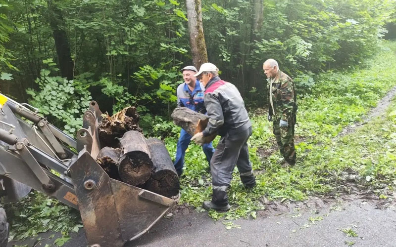 В Пролетарском районе Саранска завершилась масштабная уборка парковой зоны от опасных деревьев