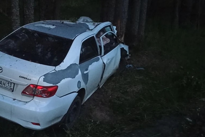 Смертельное ДТП в Теньгушевском районе: автомобиль врезался в дерево после съезда в кювет
