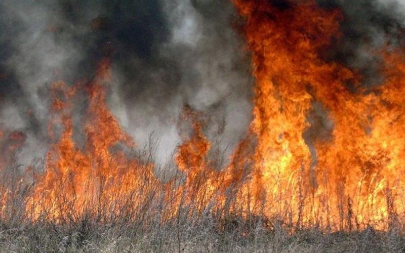 В Мордовии обострилась ситуация с пожарами из-за возгораний сухой травы
