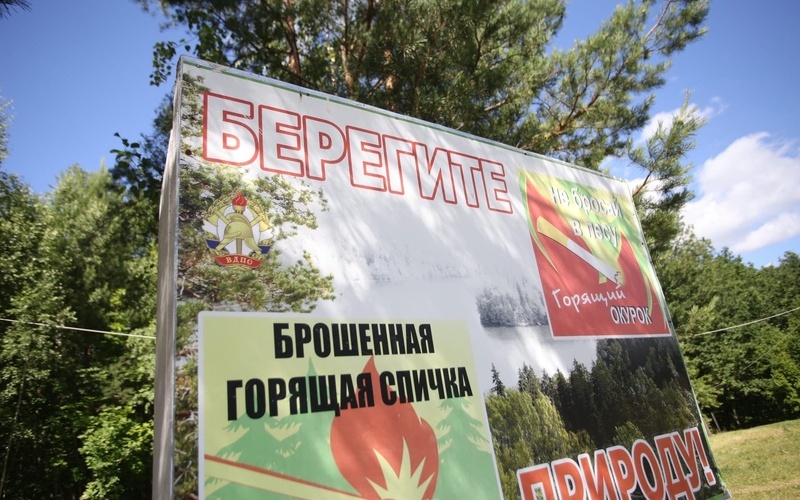 В Мордовии из-за угрозы пожаров ограничили доступ в лесные массивы