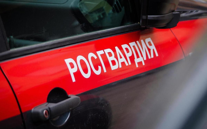 В Саранске росгвардейцы задержали агрессивного мужчину после нападения на девушку